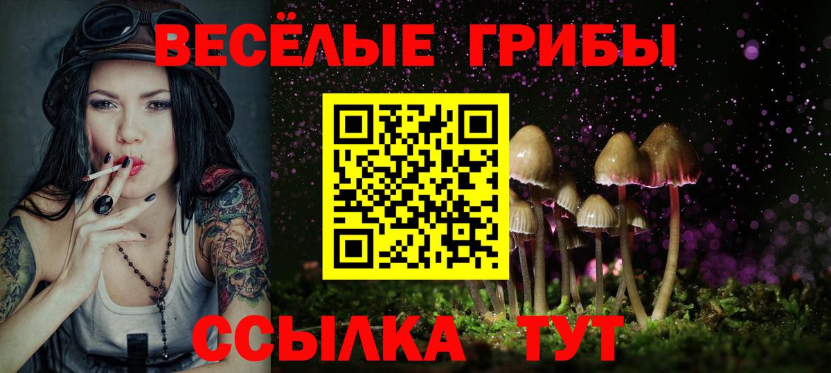 Псилоцибиновые грибы мухоморы Отрадный