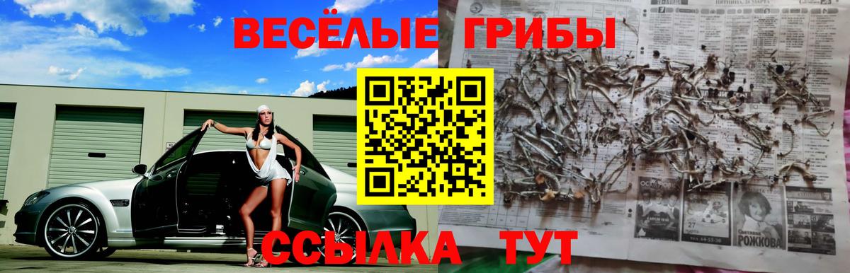 Псилоцибиновые грибы Magic Shrooms  Вход с VPN  Отрадный  Галлюциногенные грибы MAGIC MUSHROOMS 